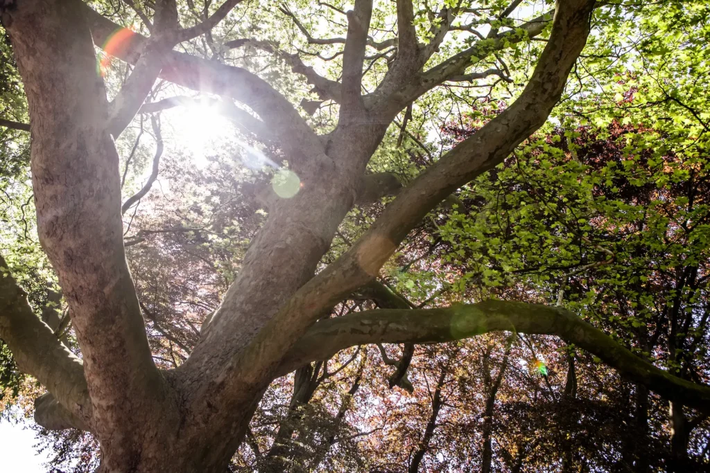 Exploring Consciousness